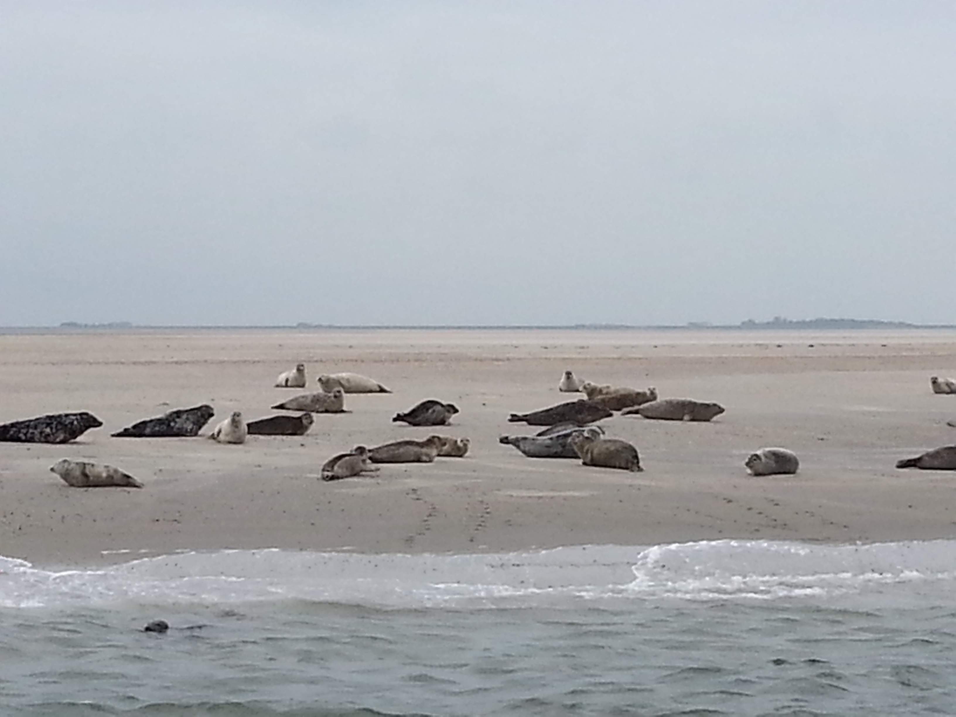HWK Texel 114.jpg